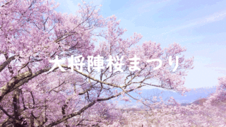 大将陣　桜祭り